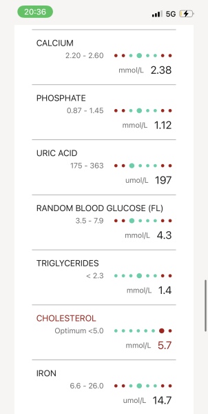 Could someone please help me to understand my blood test results - concerned about cholesterol and thyroid