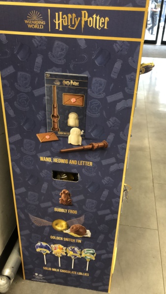 Harry Potter for 10 year old