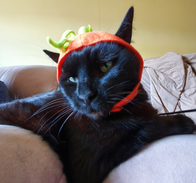 Halloween?