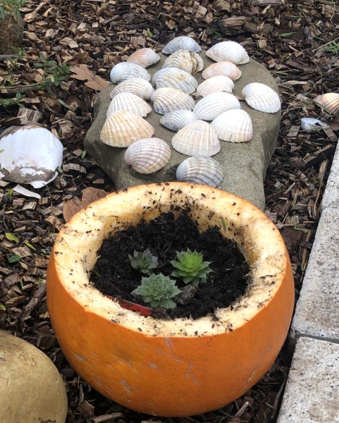 Show us your pumpkins!