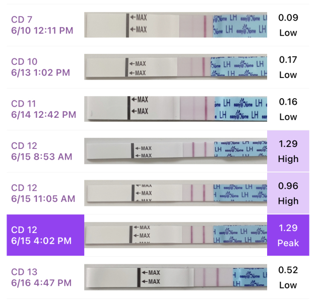 Help me understand my LH tests please