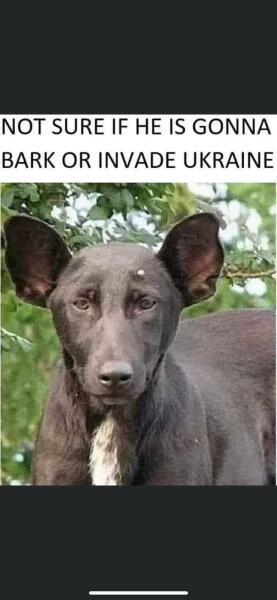 Ukraine Invasion: Part 32