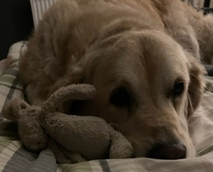 Shame around not having friends 