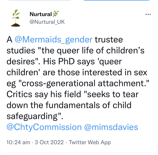 Mermaids being investigated by the charity commission