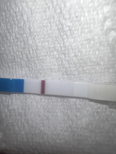 Early pregnancy test 
