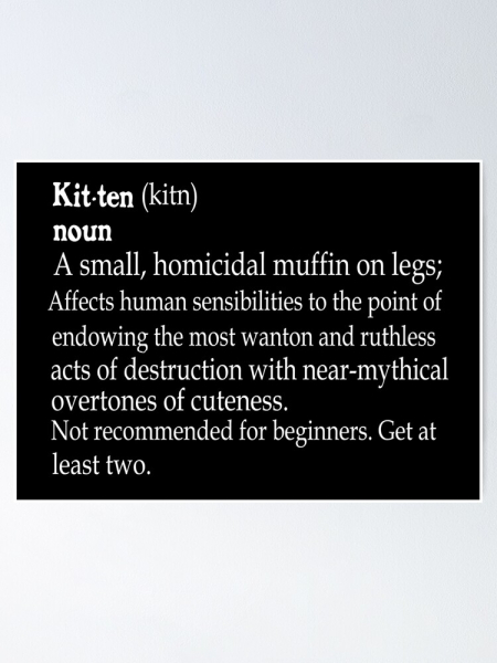 Help? I've acquired a very young kitten?