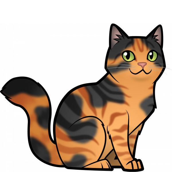 Your cat as an Avatar