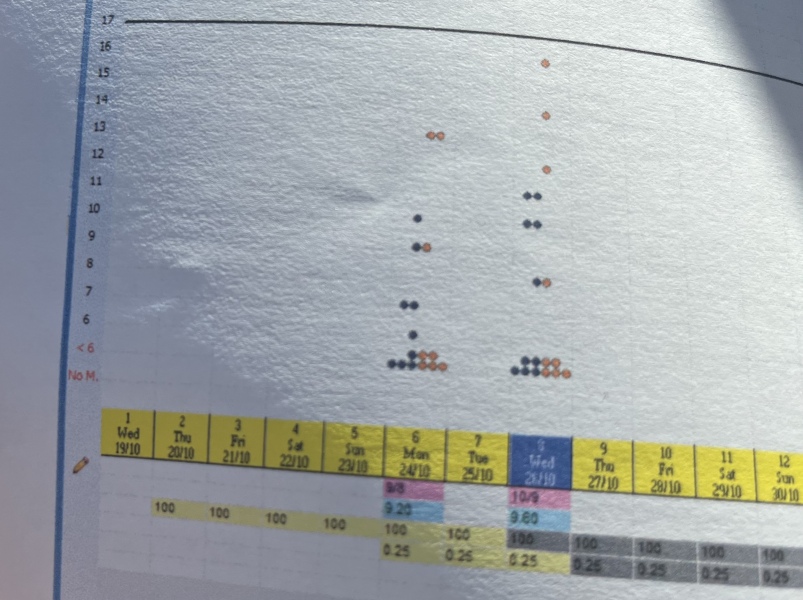 ABC IVF timeline & advice