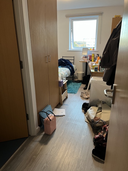 Thread 41 Corona Cohort -  Autumn Adventures of our Adult Children 