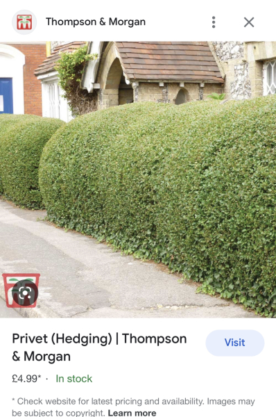 Which hedge to choose?