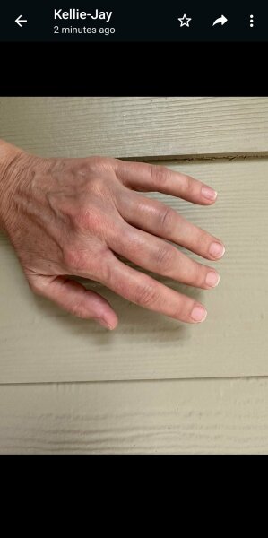 Standing for women - Portland rally cancelled over violent threats