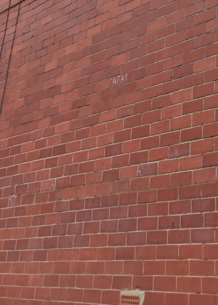 Level 3 RICS survey: rising damp diagnosed, £7,500 to fix?!