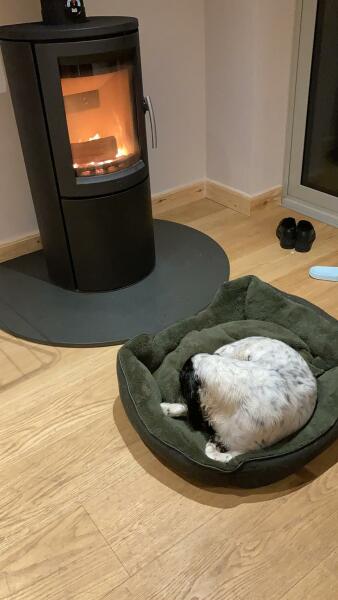 Can we please see pictures of your fireplaces and log burners ?