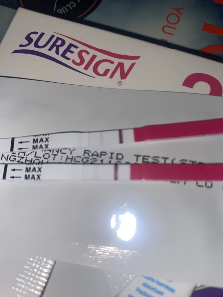 Ovulation 