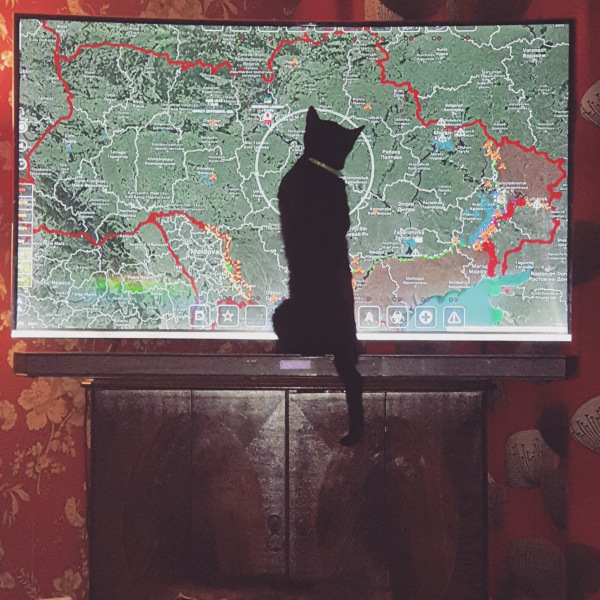 To think that my cat should earn his keep...