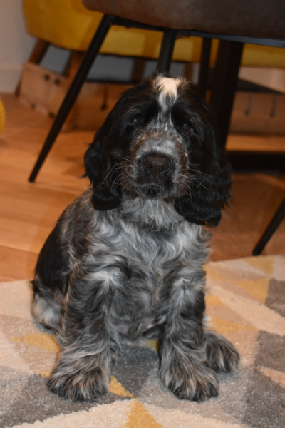 The freedom thread ( continued ) Riding the rollercoaster of an alcohol free life! Alcohol support for those wanting to give up drinking