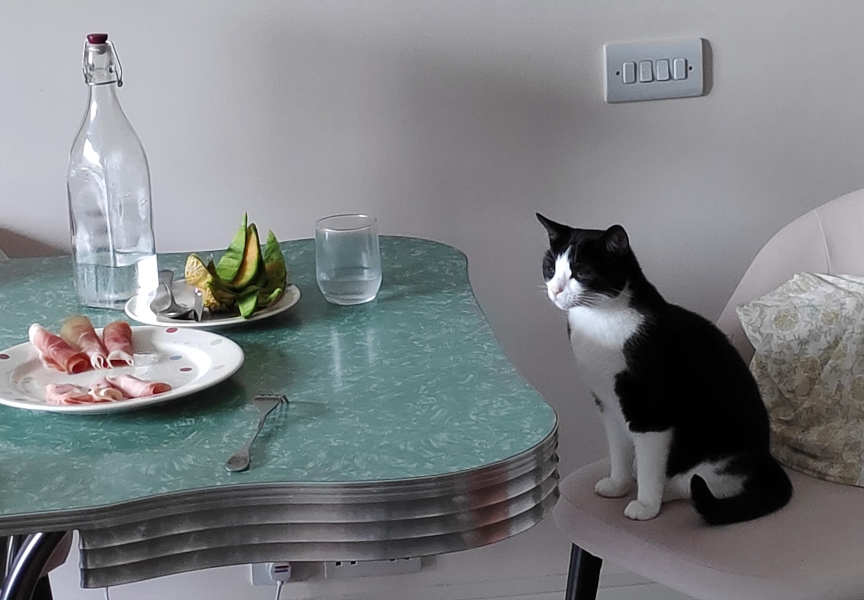 Rescue centres refusing to let us adopt