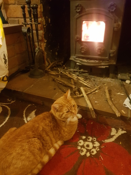 Can we please see pictures of your fireplaces and log burners ?