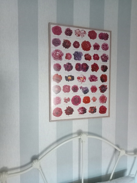 What do you have on the wall above your bed?