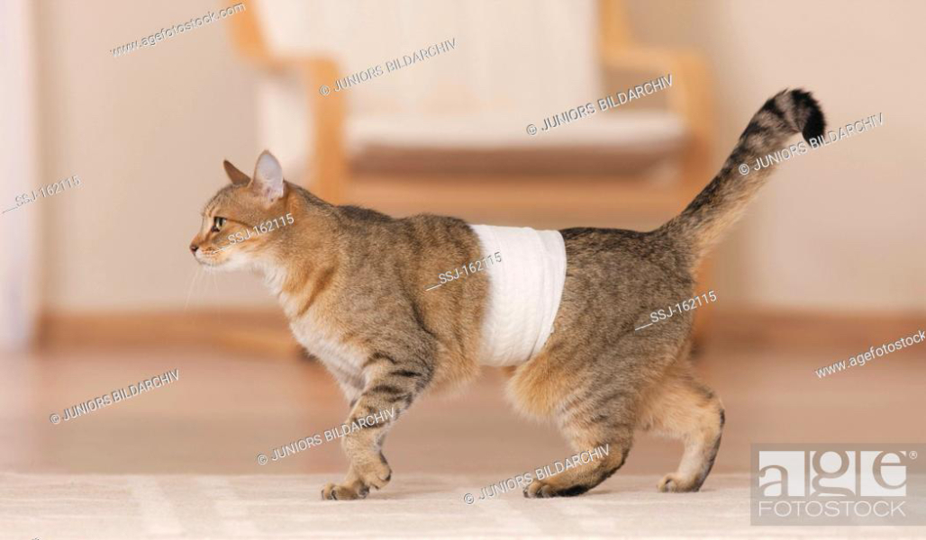 Bright ideas for a wound?