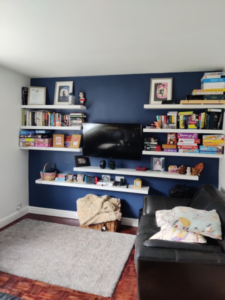 Living room bookshelves