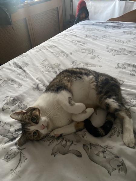 Is this normal?! 