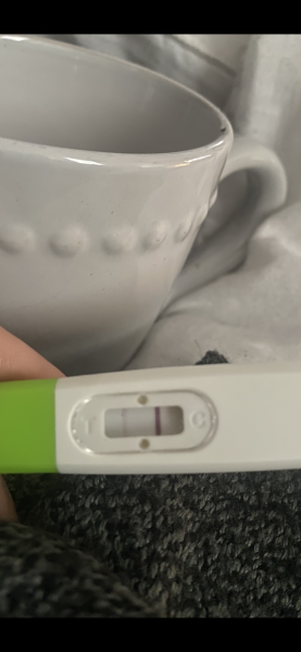 Pregnant straight after miscarraige