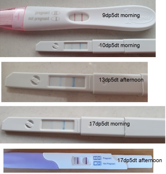FET in September/October