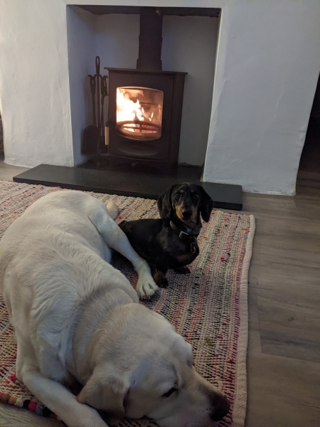 Can we please see pictures of your fireplaces and log burners ?