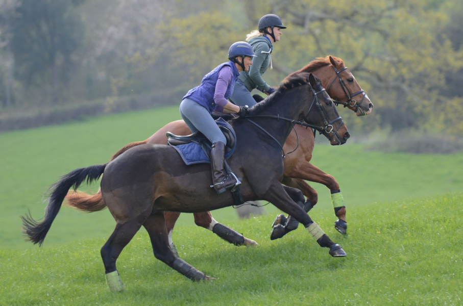 Comfortable cantering 