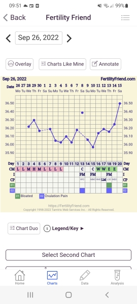 BBT - help