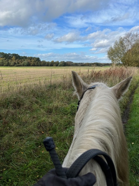 Adult new or returning riders up for a chat?