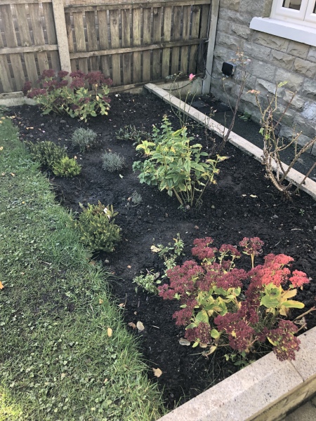 Border help needed 