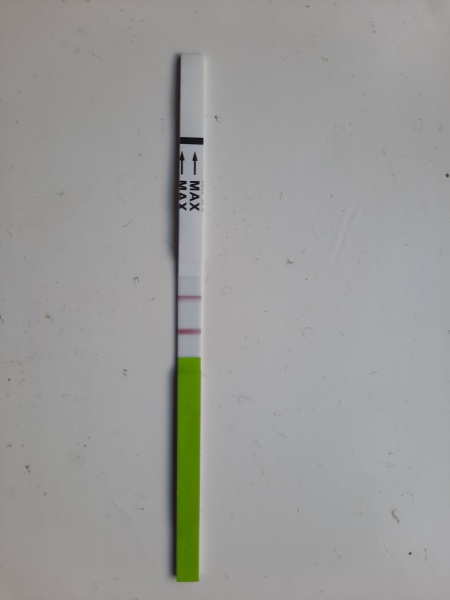 TTC after miscarriage thread 13 💕🌈✨💛