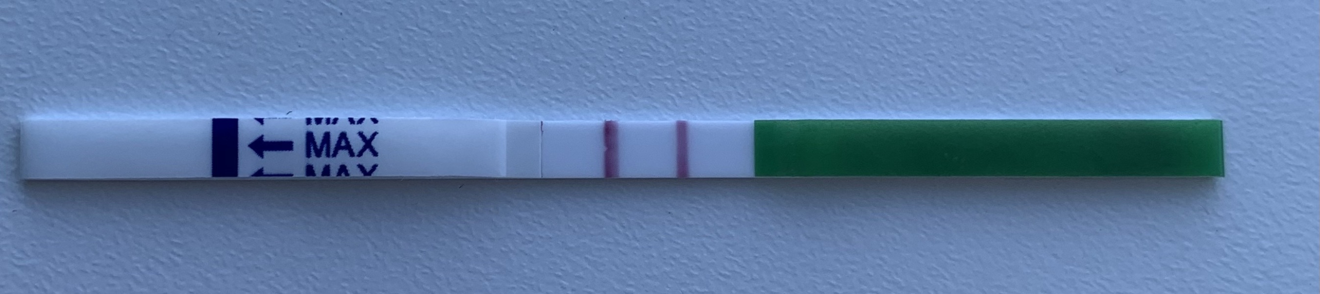 TWW/positive ovulation!