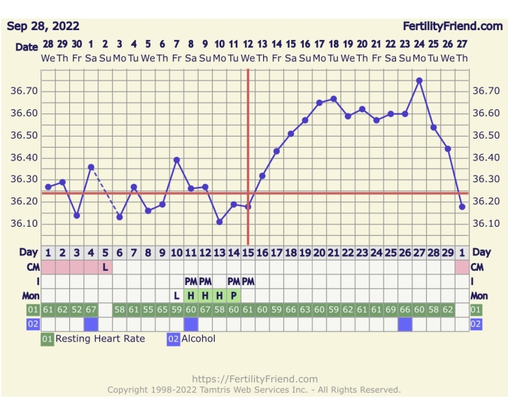 BBT Chart help. 🆘 