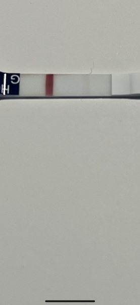 Could this be an evap??