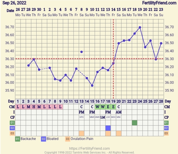 BBT Chart help. 🆘 