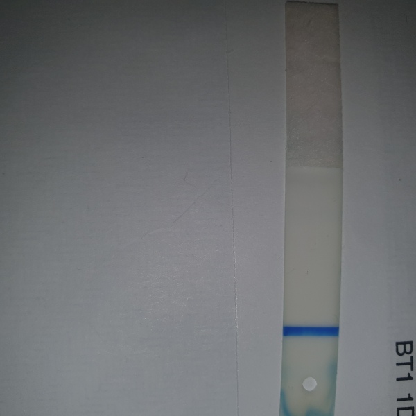 Early bfp or colour run / evap /  3  weeks late
