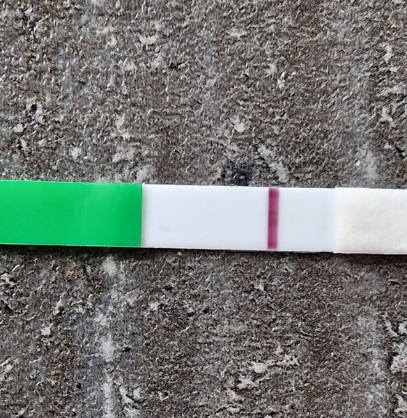 Ttc num 4- faint BFP?