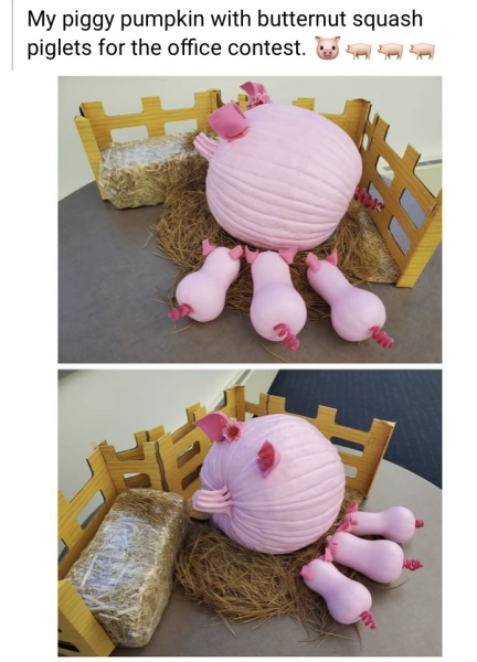 The pumpkin is too hard to cut…help!