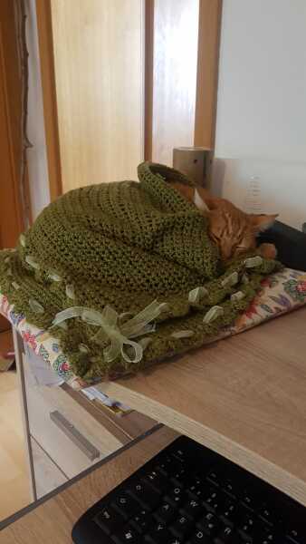 Come and tell me your dull and unexciting news 23: Calmly through the day 