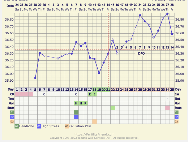 BBT Chart help. 🆘 