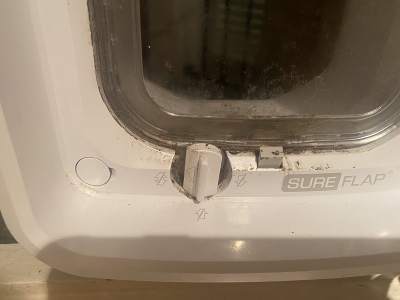 Sure flap help 