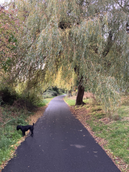What was your nicest commute to work? 