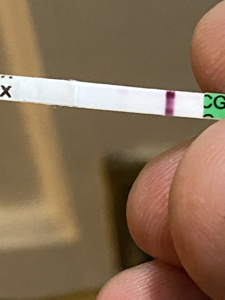 Is this a BFP?