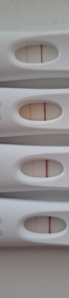 Pregnant straight after miscarraige