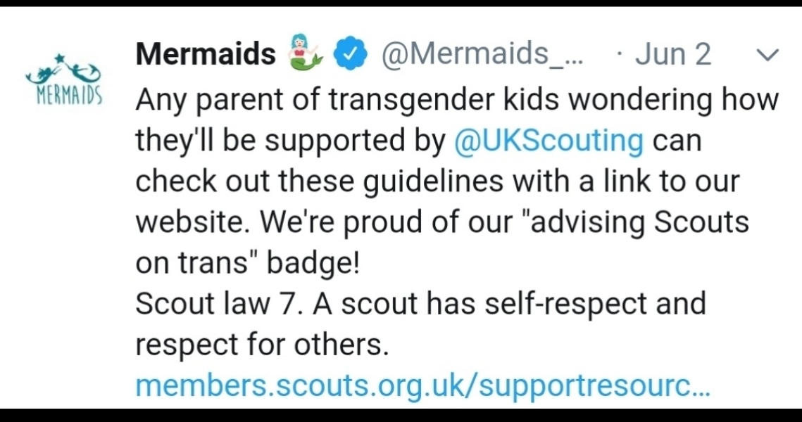 Mermaids being investigated by the charity commission