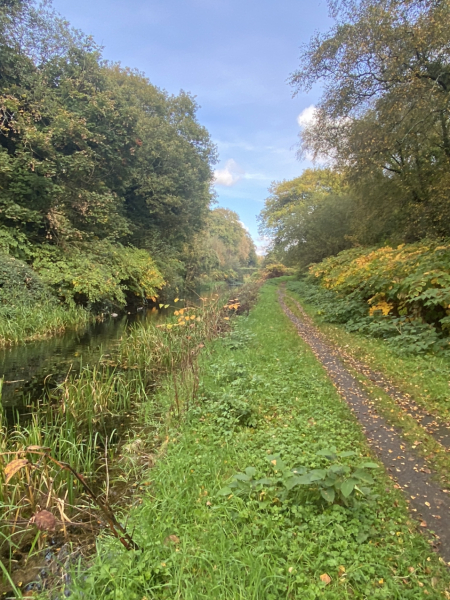 Come and tell me your dull and unexciting news 23: Calmly through the day 