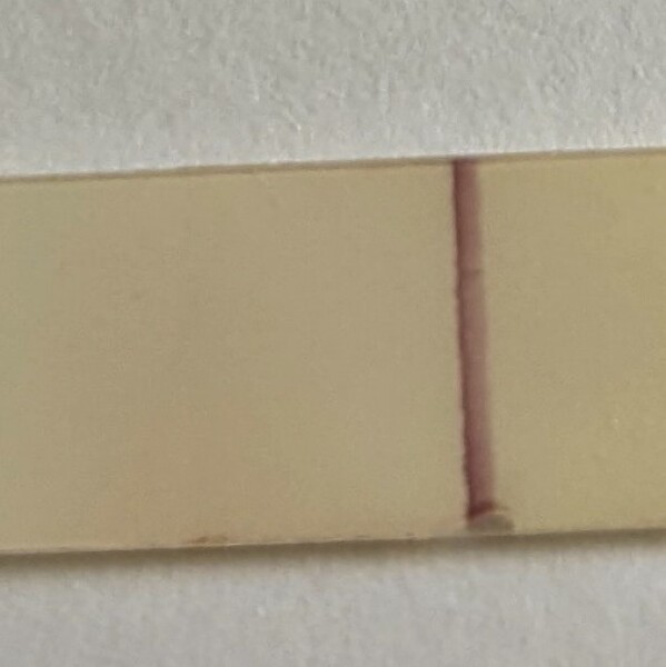 Tracking your cycle and possible BFP using RHR